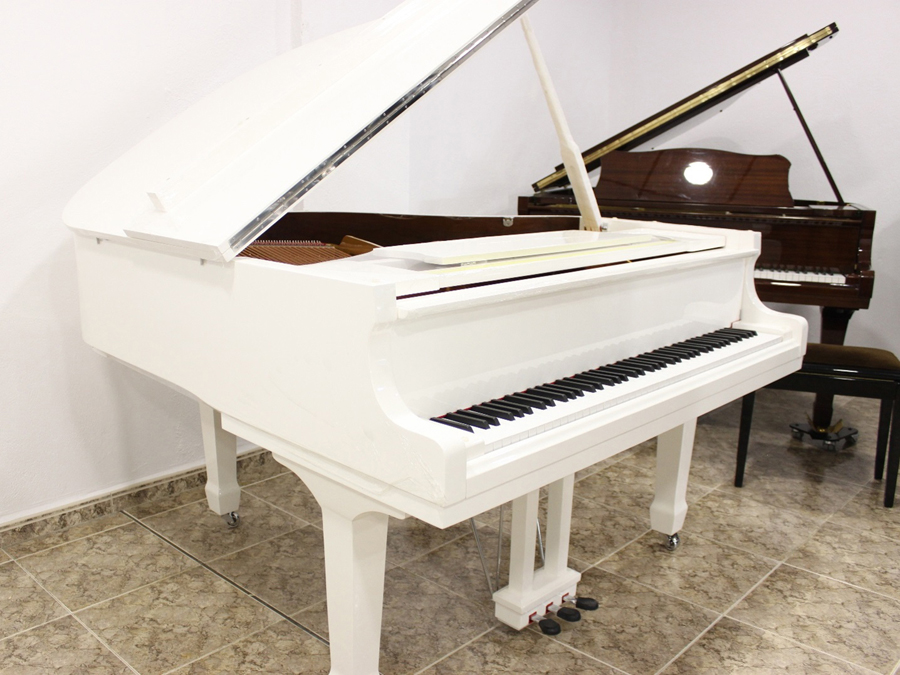 Basura maldición Impresión ALQUILER Piano Colin Blanco Marca Propia 160cm.