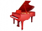 Yamaha G2 ROJO.